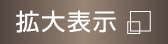 拡大表示